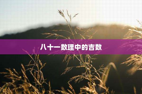八十一数理中的吉数