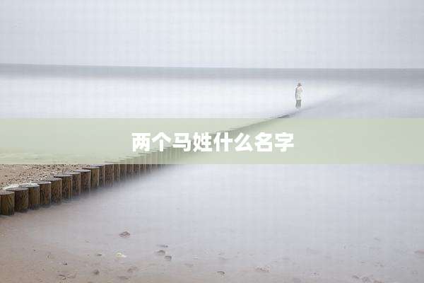两个马姓什么名字
