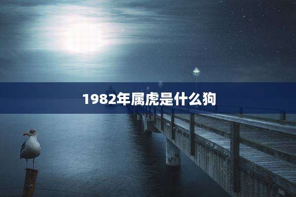 1982年属虎是什么狗