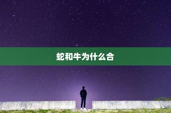 蛇和牛为什么合