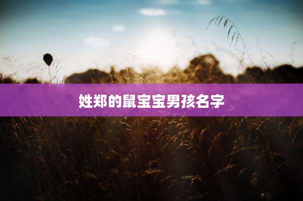 姓郑的鼠宝宝男孩名字