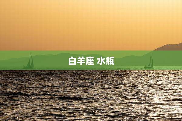 白羊座 水瓶