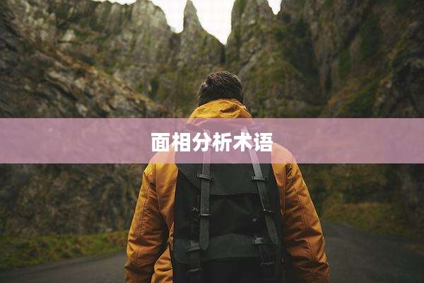 面相分析术语