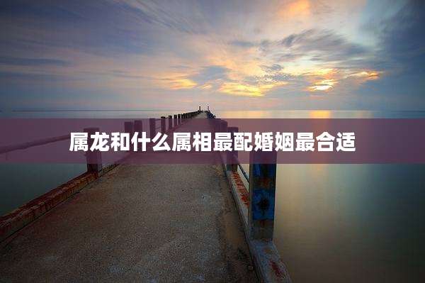 属龙和什么属相最配婚姻最合适