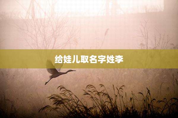 给娃儿取名字姓李