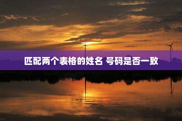匹配两个表格的姓名 号码是否一致