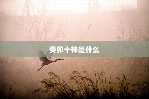 癸卯十神是什么