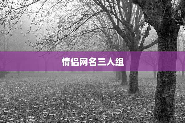 情侣网名三人组