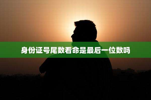 身份证号尾数看命是最后一位数吗