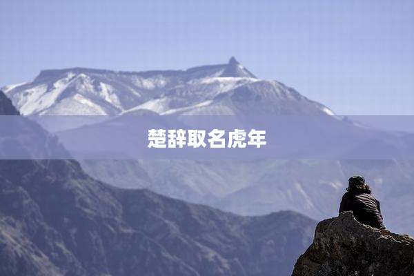 楚辞取名虎年
