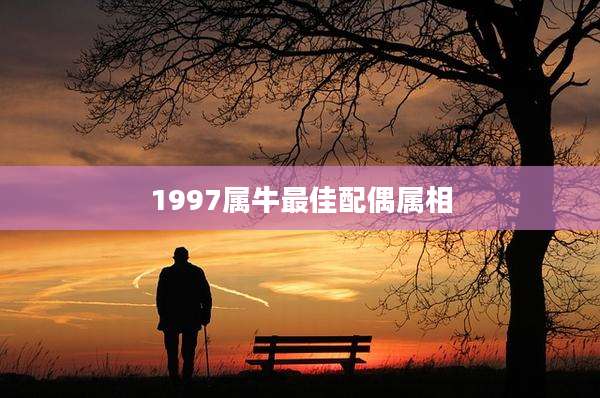 1997属牛最佳配偶属相