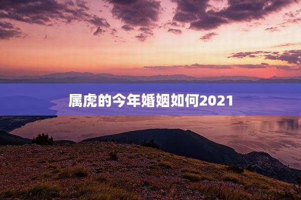 属虎的今年婚姻如何2021
