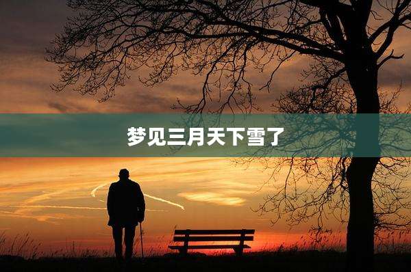梦见三月天下雪了
