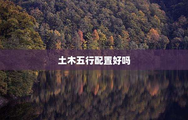 土木五行配置好吗