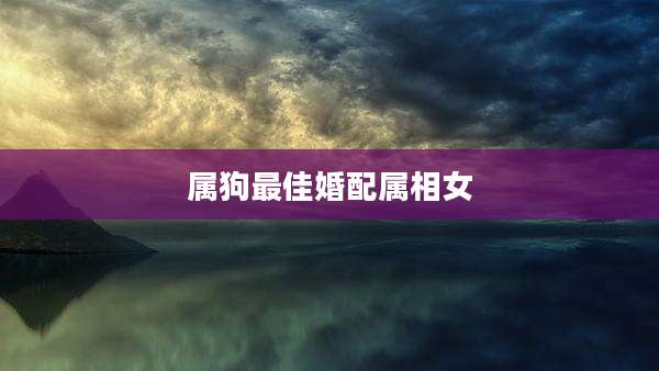 属狗最佳婚配属相女