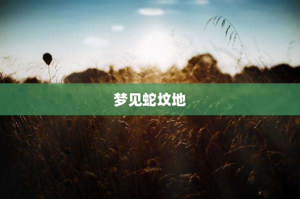 梦见蛇坟地