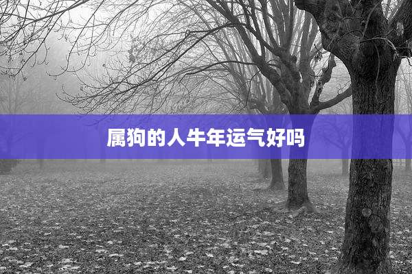 属狗的人牛年运气好吗