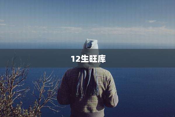 12生旺库