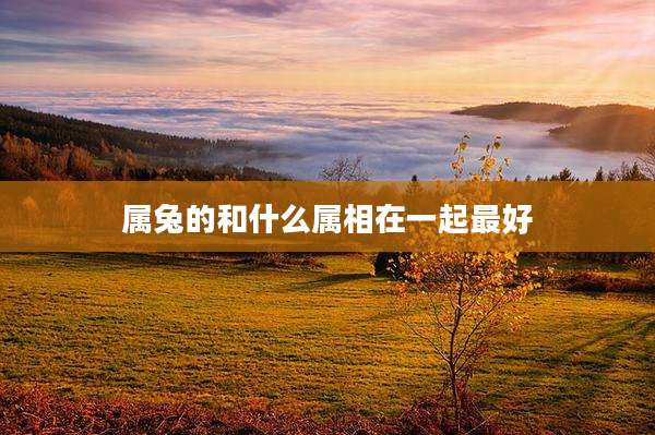 属兔的和什么属相在一起最好