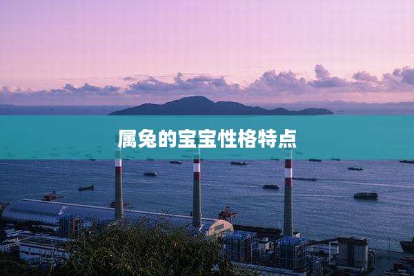 属兔的宝宝性格特点