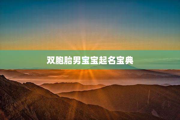 双胞胎男宝宝起名宝典