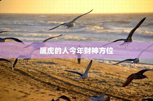 属虎的人今年财神方位