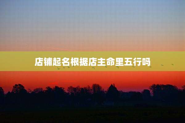店铺起名根据店主命里五行吗