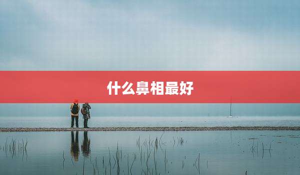 什么鼻相最好