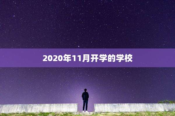 2020年11月开学的学校