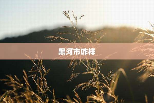 黑河市咋样