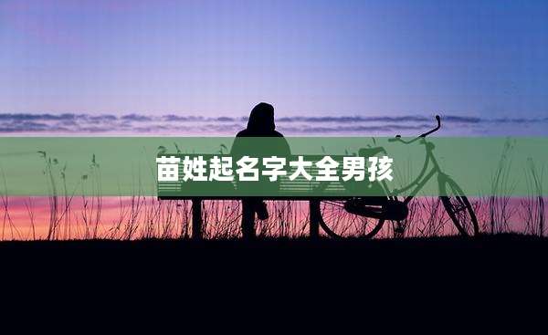苗姓起名字大全男孩