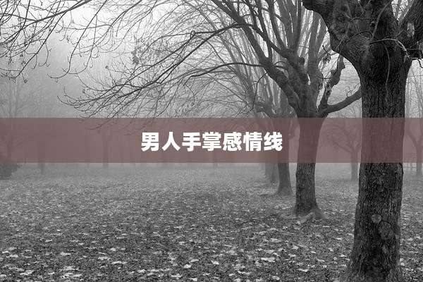 男人手掌感情线