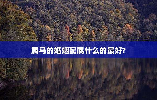 属马的婚姻配属什么的最好?