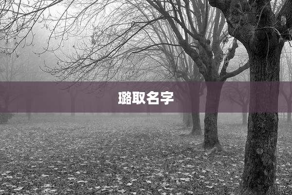 璐取名字