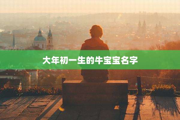 大年初一生的牛宝宝名字