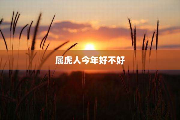 属虎人今年好不好