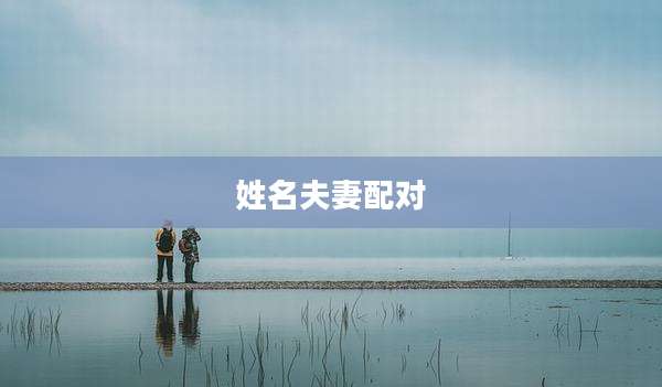 姓名夫妻配对