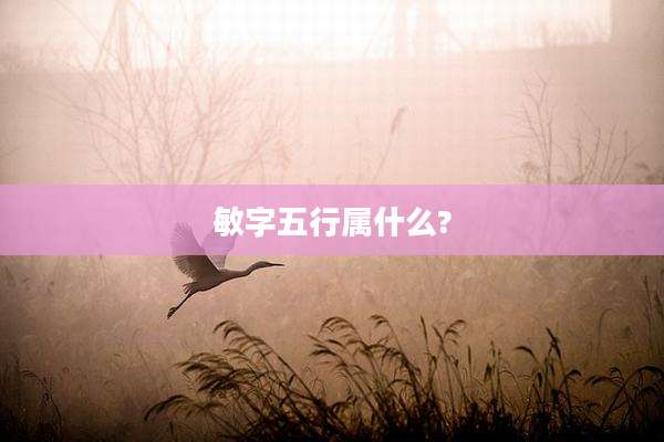 敏字五行属什么?