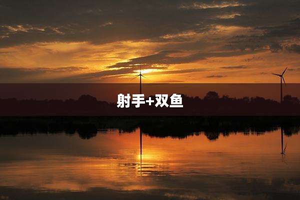 射手+双鱼