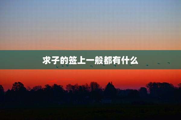 求子的签上一般都有什么