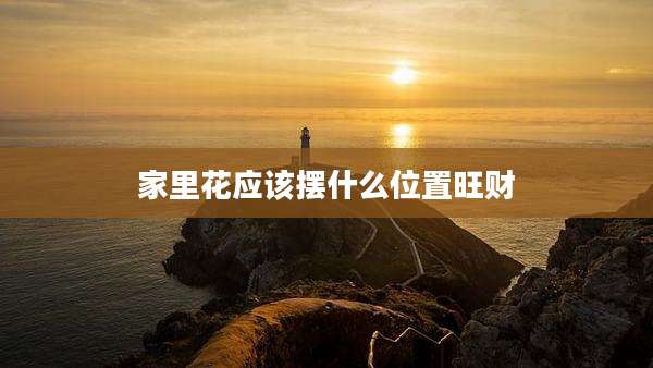 家里花应该摆什么位置旺财