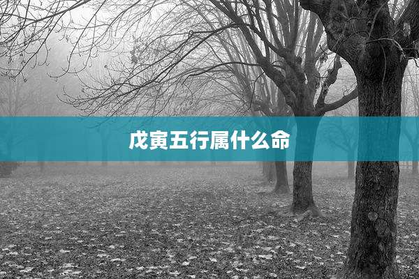 戊寅五行属什么命