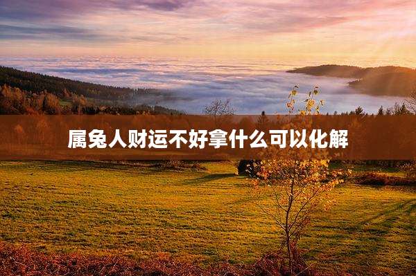 属兔人财运不好拿什么可以化解