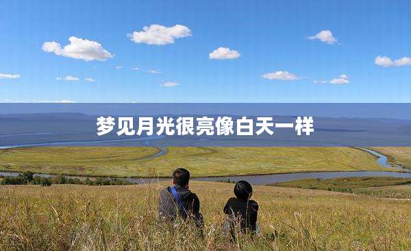 梦见月光很亮像白天一样
