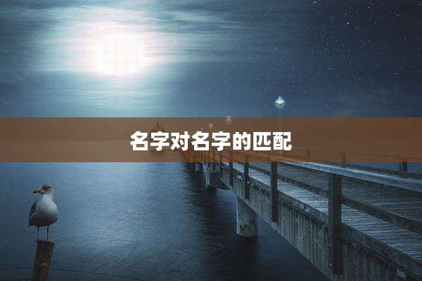 名字对名字的匹配