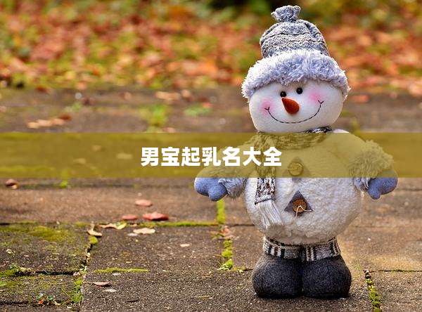男宝起乳名大全