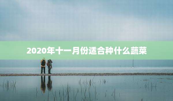 2020年十一月份适合种什么蔬菜
