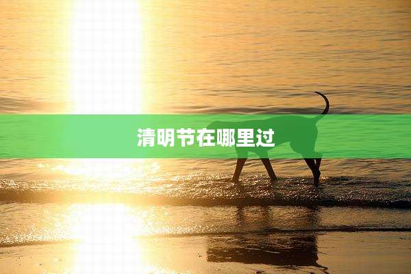 清明节在哪里过