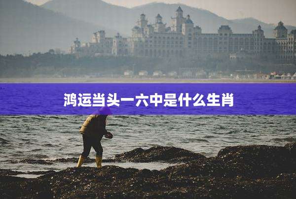 鸿运当头一六中是什么生肖