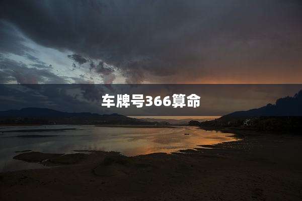 车牌号366算命